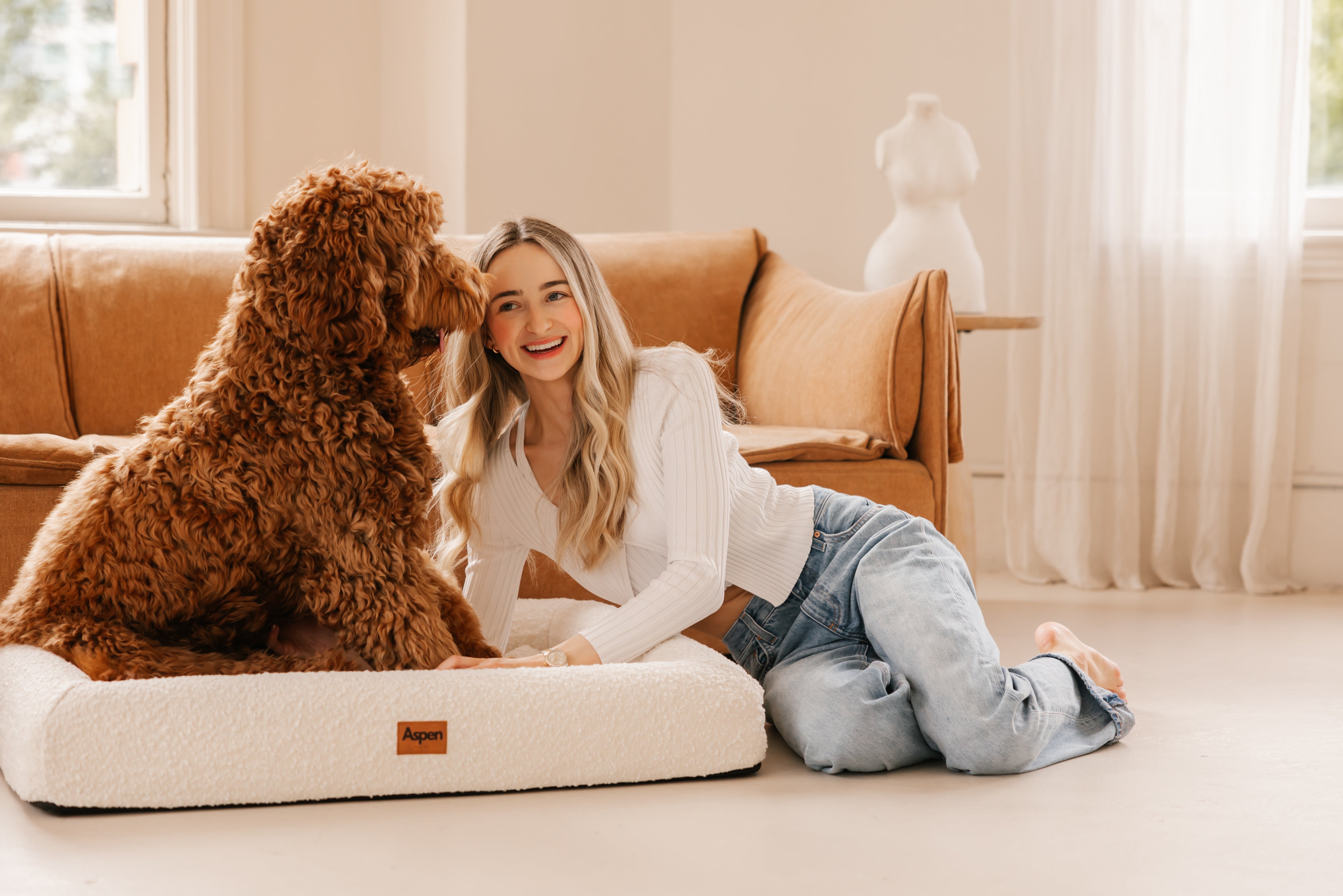 Harmony dog bed outlet australia